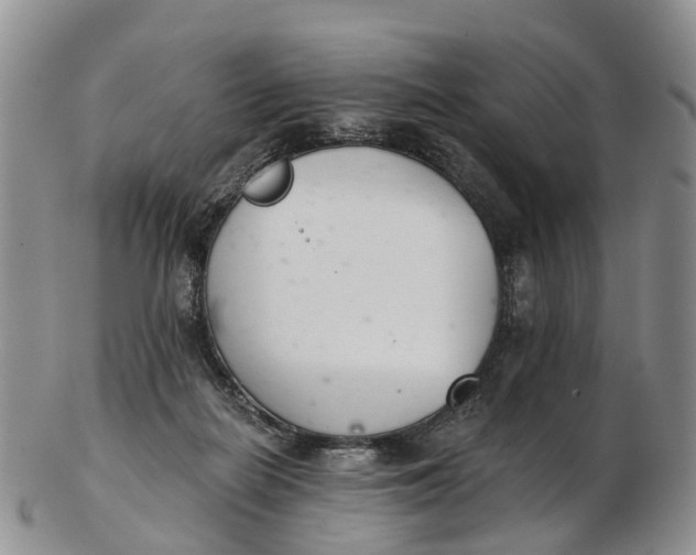 X0000103260266200809121929