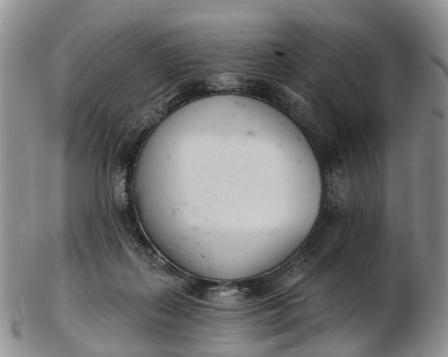 X0000103260267200809121929