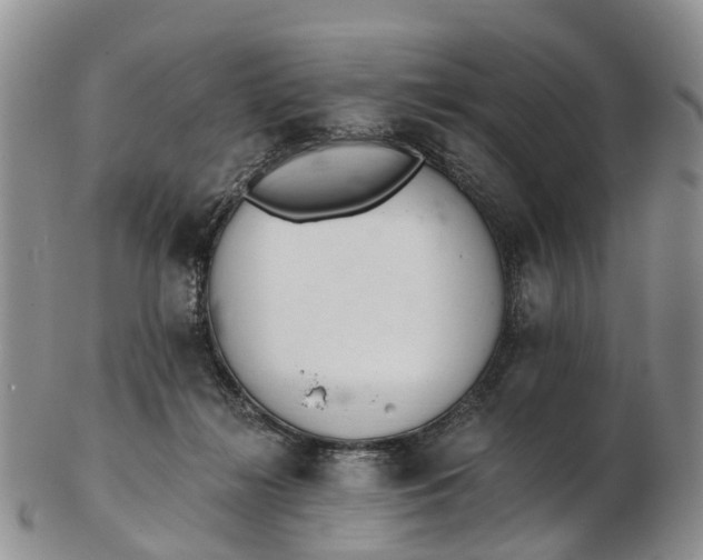 X0000103260268200809121930