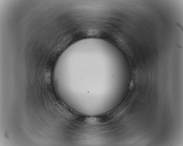 X0000103260269200809121930