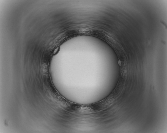 X0000103260270200809121930