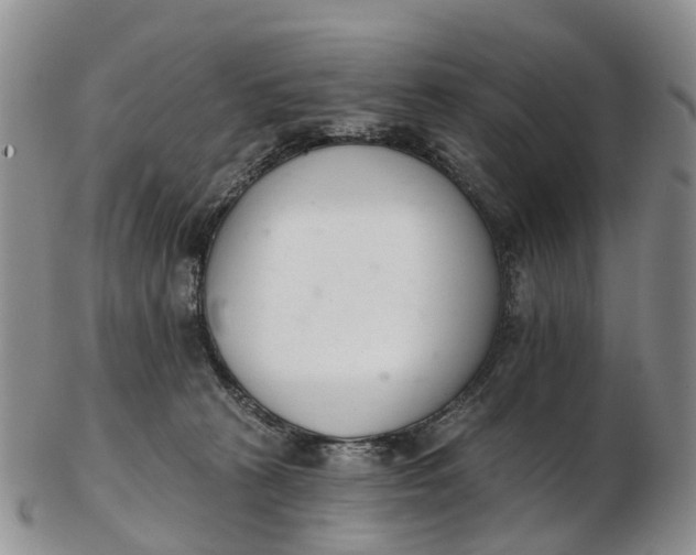 X0000103260273200809121930