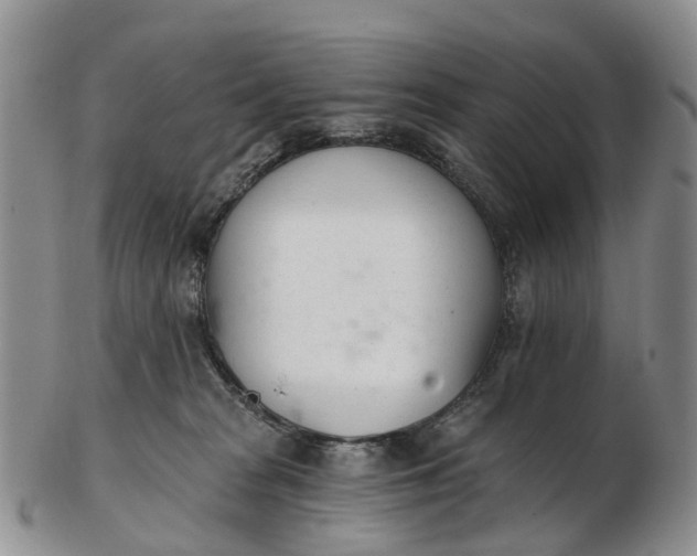 X0000103260277200809121930