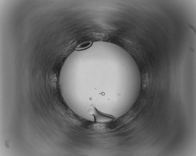 X0000103260279200809121930