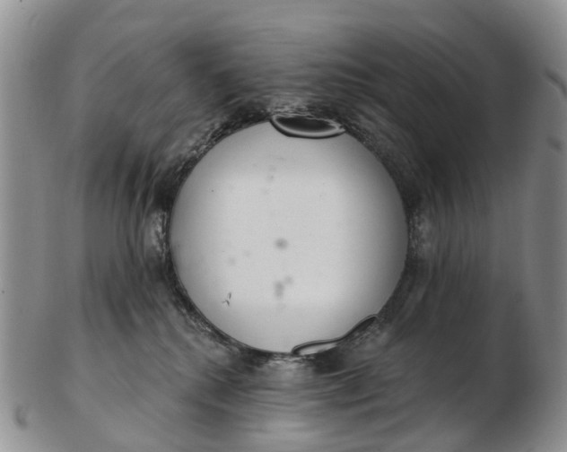 X0000103260280200809121930