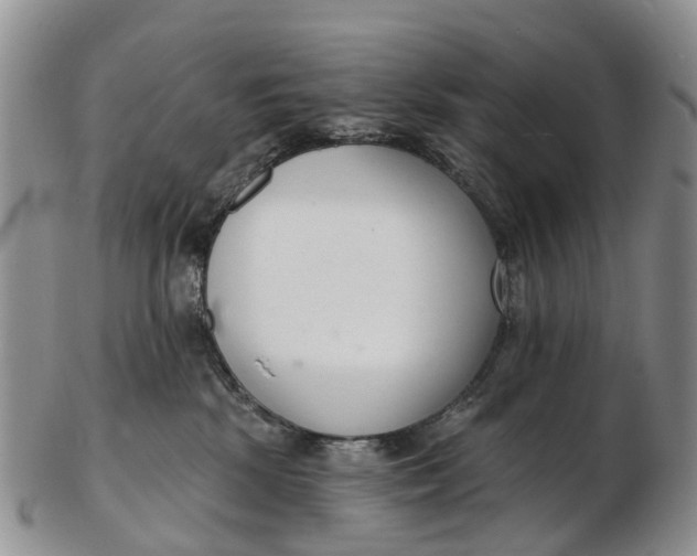 X0000103260281200809121930