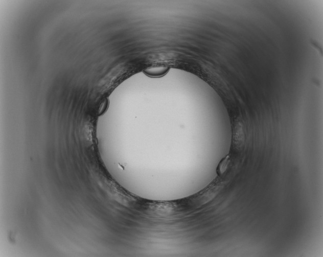 X0000103260282200809121930