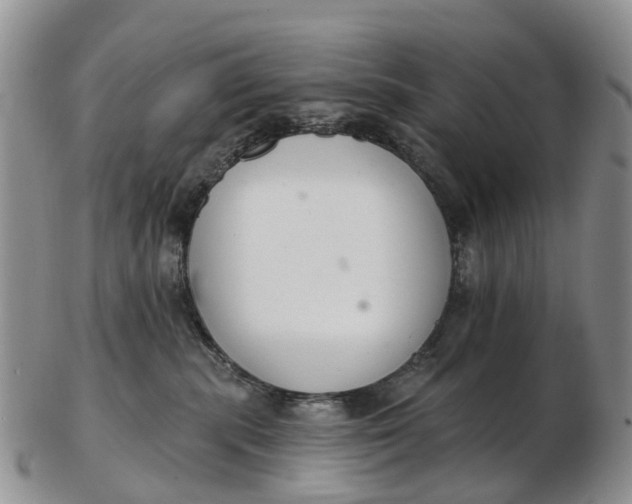 X0000103260283200809121930