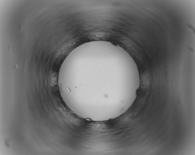 X0000103260284200809121930