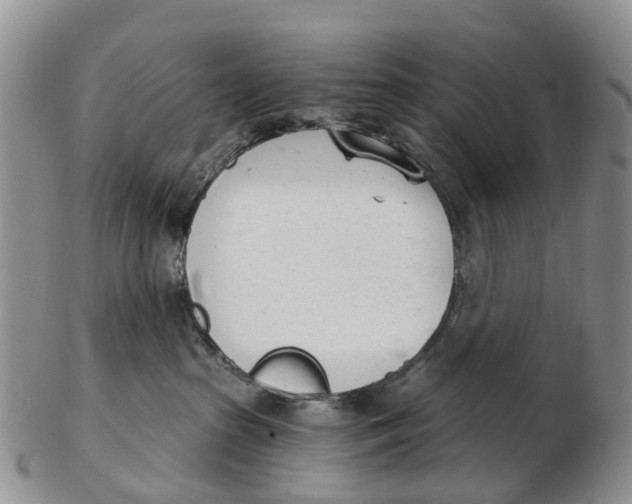 X0000103260285200809121930