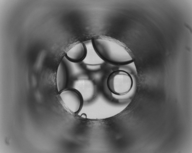 X0000103260286200809121930