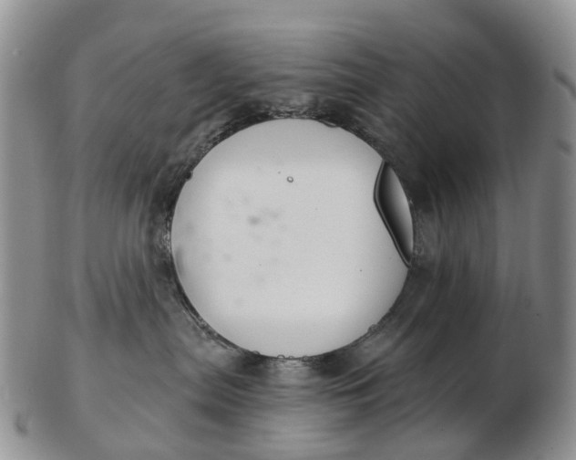 X0000103260287200809121930