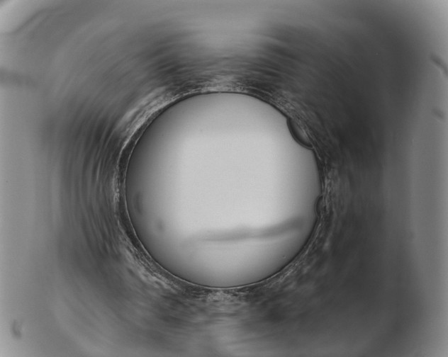 X0000103260290200809121929