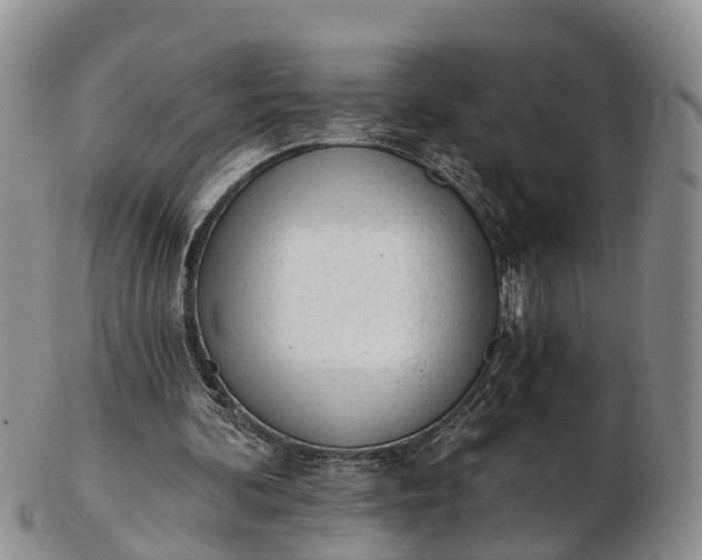 X0000103260292200809121929