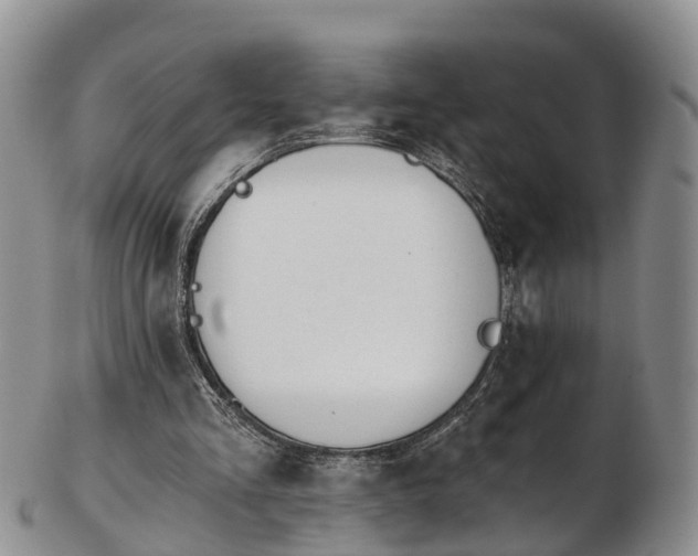 X0000103260293200809121929