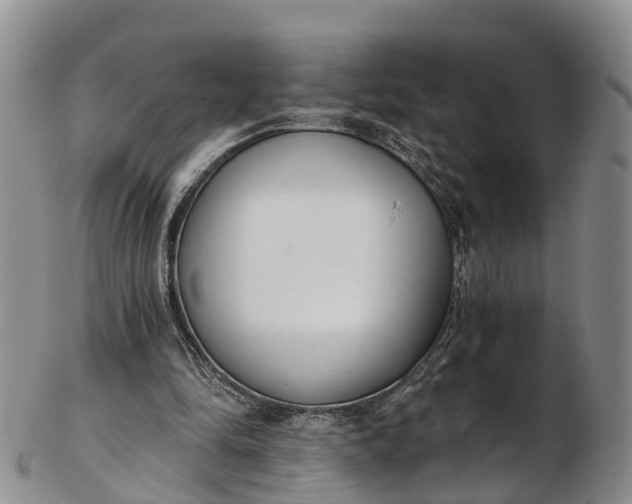 X0000103260294200809121929