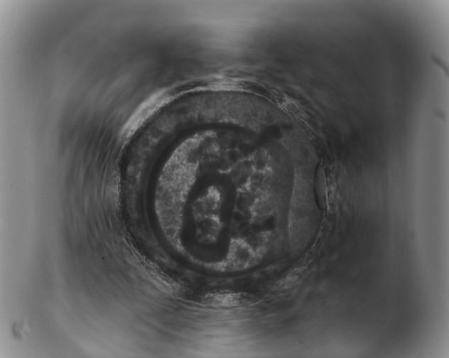 X0000103260295200809121929