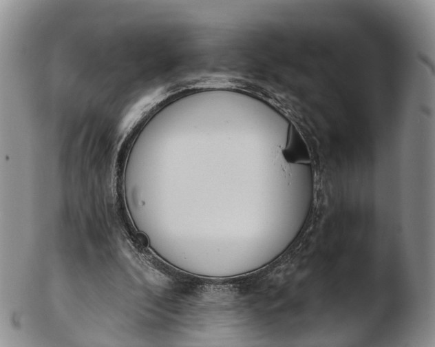 X0000103260296200809121929