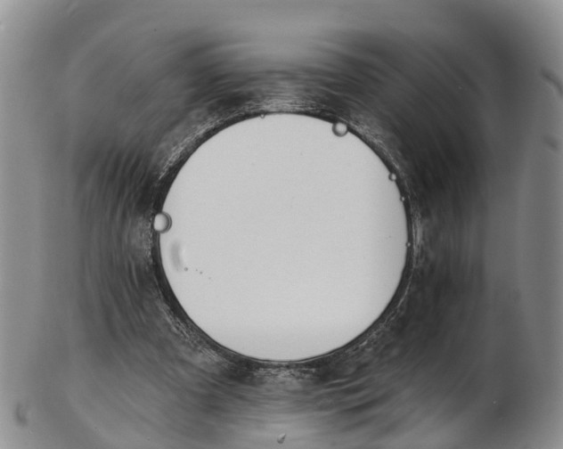 X0000103260297200809121929