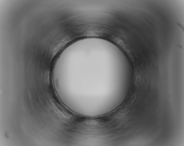 X0000103260299200809121929