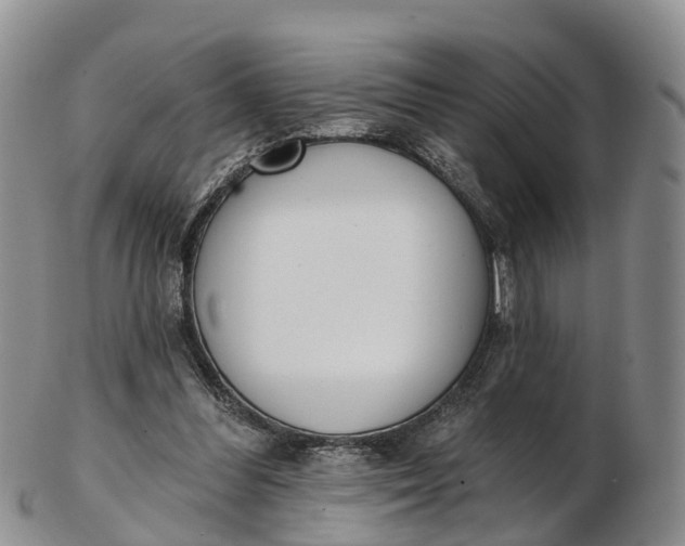 X0000103260300200809121929