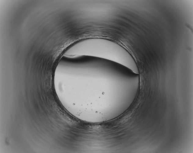 X0000103260301200809121929