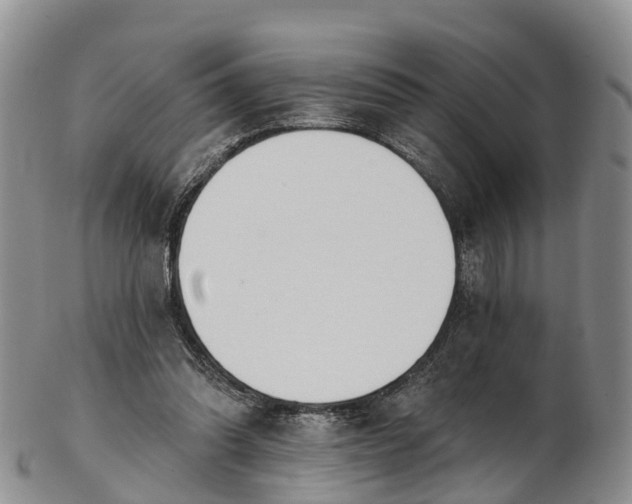 X0000103260302200809121929