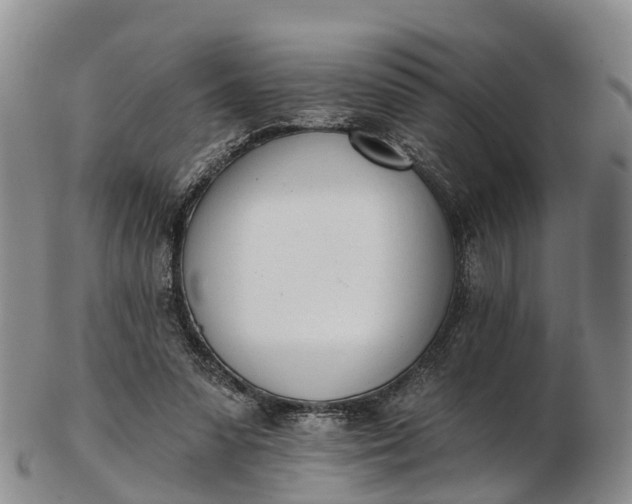 X0000103260303200809121929