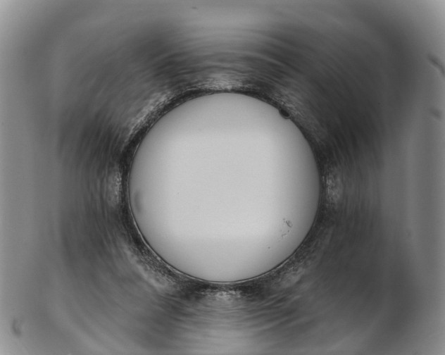 X0000103260304200809121929