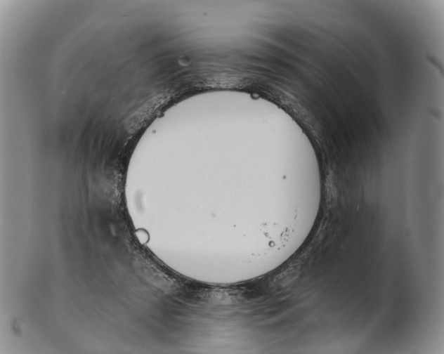 X0000103260305200809121929