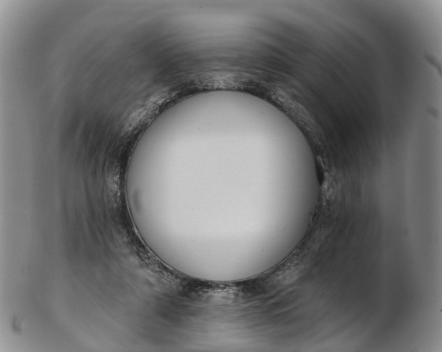 X0000103260306200809121929