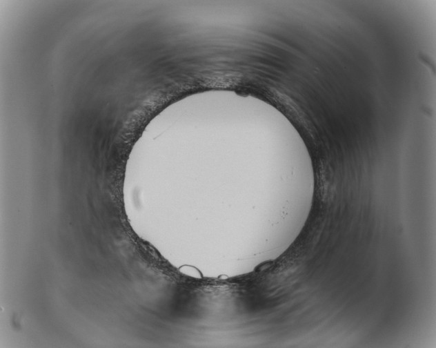 X0000103260307200809121929