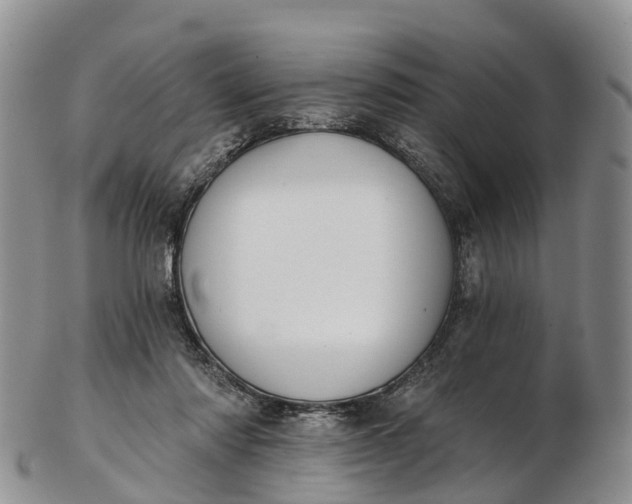 X0000103260310200809121929