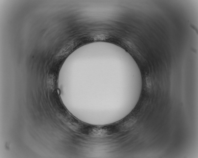 X0000103260311200809121929