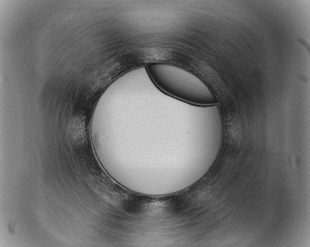 X0000103260312200809121929