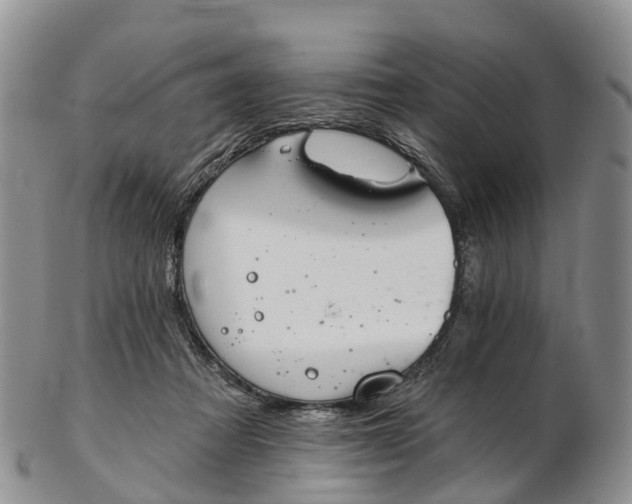 X0000103260313200809121929