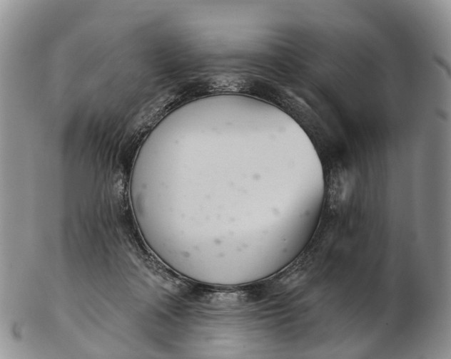 X0000103260314200809121929