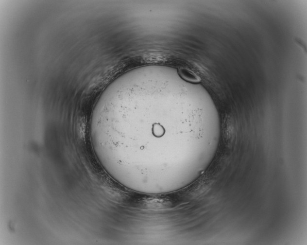 X0000103260315200809121929