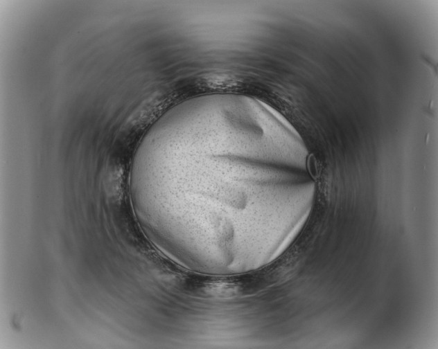 X0000103260319200809121929