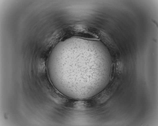 X0000103260320200809121929