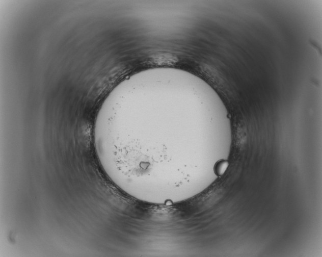 X0000103260321200809121929