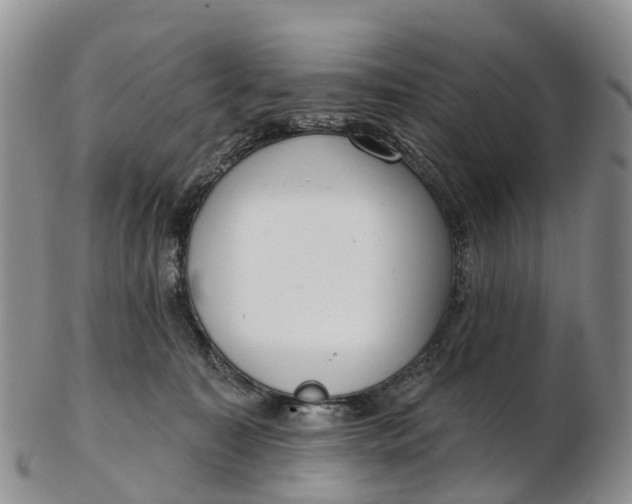 X0000103260323200809121929