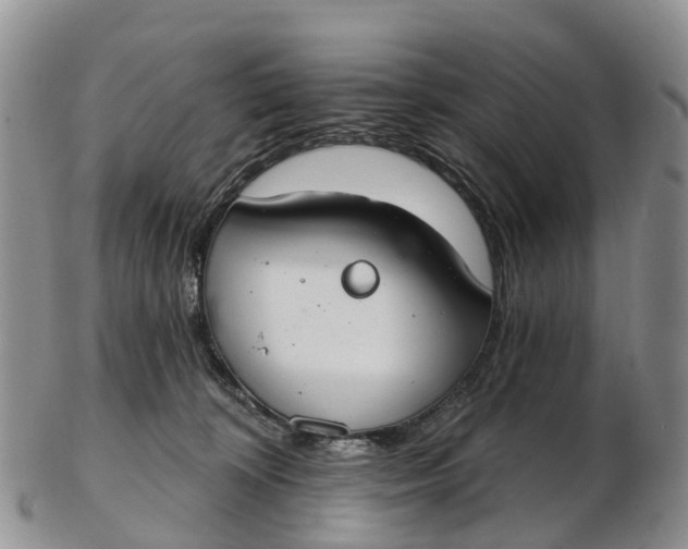 X0000103260324200809121929