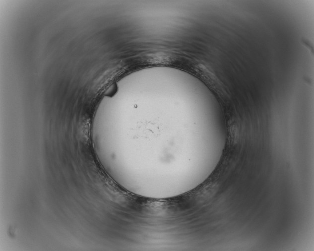 X0000103260325200809121929