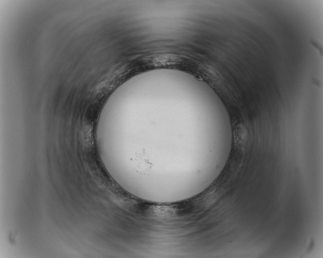 X0000103260327200809121929