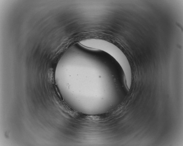 X0000103260328200809121929