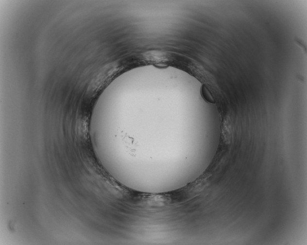 X0000103260330200809121929