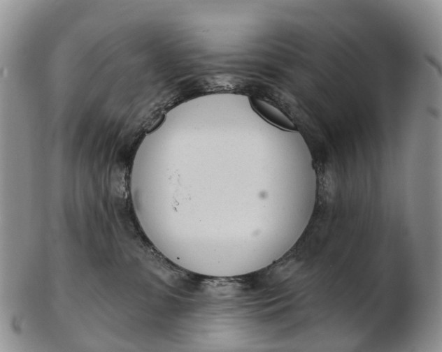 X0000103260331200809121929