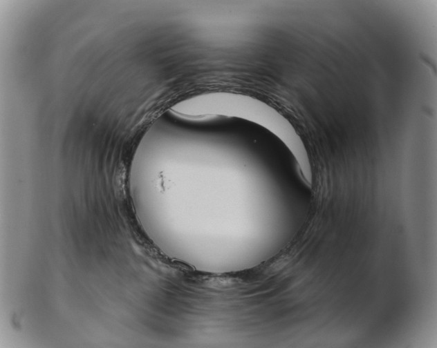 X0000103260332200809121929