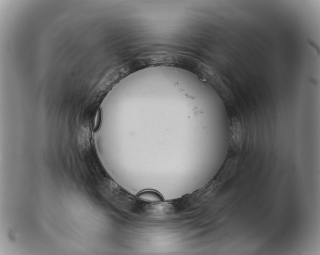 X0000103260333200809121929